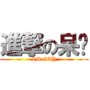 進撃の呆貓 (IM GAY)