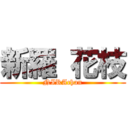 新羅 花枝 (NIRAchan)