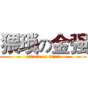 猥琐の金强 (attack on titan)