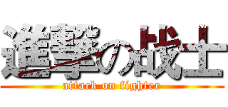 進撃の战士 (attack on fighter)