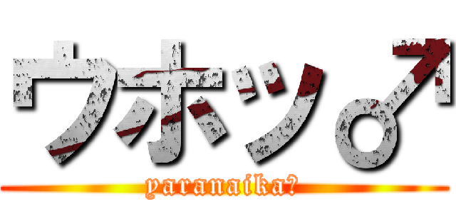 ウホッ♂ (yaranaika?)