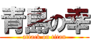 青島の幸 (attack on titan)