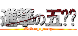 進撃の五龙组 (Wulong group)