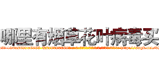 哪里有烟草花叶病毒买 (哪里有烟草花叶病毒买【电-186x2687x6963-Q278180069元-吉-药-业】我们做的是长期生意,靠的是老客户长期支持 http://sngk.net/dDoQoC
)