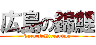 広島の錦鯉 (Carp of Hiroshima)