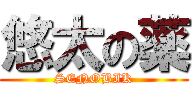 悠太の薬 (SENOBIK)