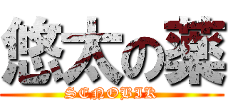 悠太の薬 (SENOBIK)