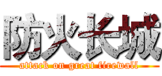 防火长城 (attack on great firewall)