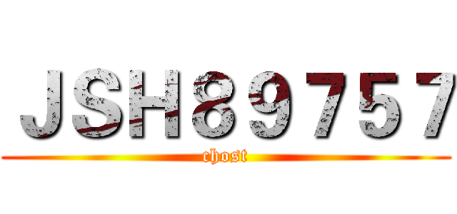 ＪＳＨ８９７５７ (chost)