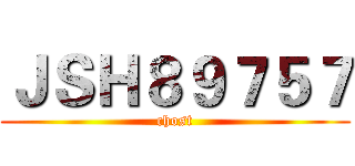 ＪＳＨ８９７５７ (chost)