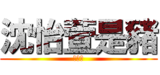 沈怡萱是豬 (不解釋)