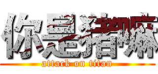 你是猪嘛 (attack on titan)