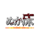 ぬか床 (nukadoko)