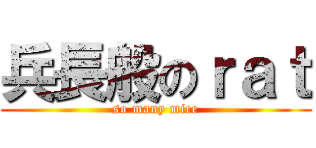 兵長般のｒａｔ (so many mice)