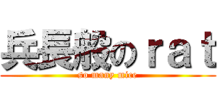 兵長般のｒａｔ (so many mice)