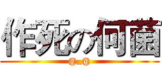 作死の何菌 (@_@)