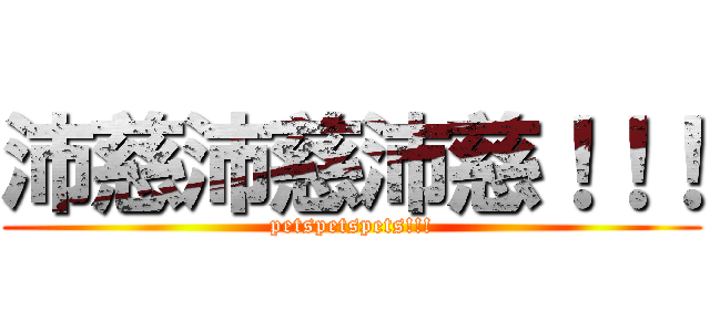 沛慈沛慈沛慈！！！ (petspetspets!!!)