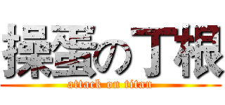 操蛋の丁根 (attack on titan)