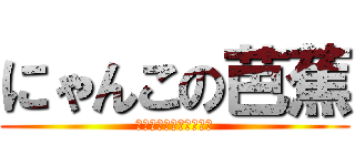 にゃんこの芭蕉 (素晴らしきお散歩コース)