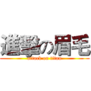 進擊の眉毛 (attack on titan)