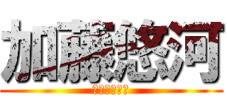 加藤悠河 (かとうゆうが)