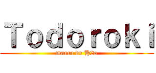 Ｔｏｄｏｒｏｋｉ (marca de H2o)