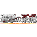 進撃の茶虎 (attack on brown cat)