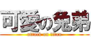 可愛の兔弟 (attack on titan)