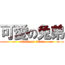 可愛の兔弟 (attack on titan)