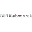 ＤＳＲｉＧａｂｏｃｏｒｅｋ (attack of Gabo)