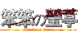 笨笨の瑩葶 (attack on titan)