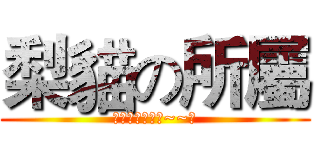 梨貓の所屬 (我最愛妳傻老婆~~俊)