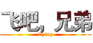 飞吧，兄弟 (flying)