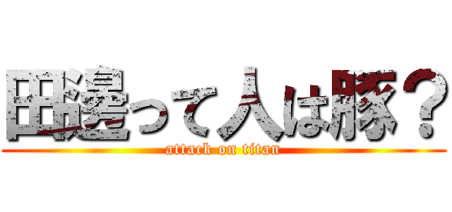 田邊って人は豚？ (attack on titan)