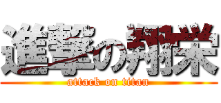 進撃の翔栄 (attack on titan)