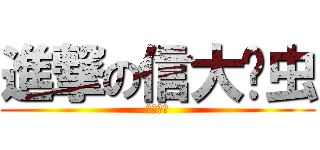 進撃の信大懒虫 (信大懒虫)