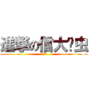 進撃の信大懒虫 (信大懒虫)