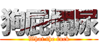 狗屁爛尿 (What the fuck)