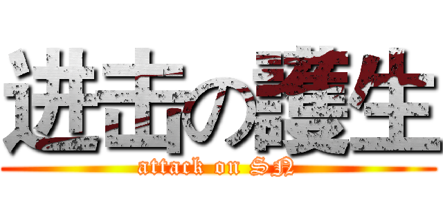 进击の護生 (attack on SN)