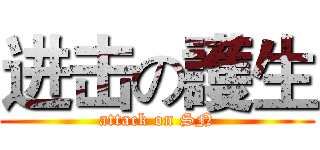 进击の護生 (attack on SN)