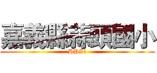 嘉義縣蒜頭國小 (HPS網)