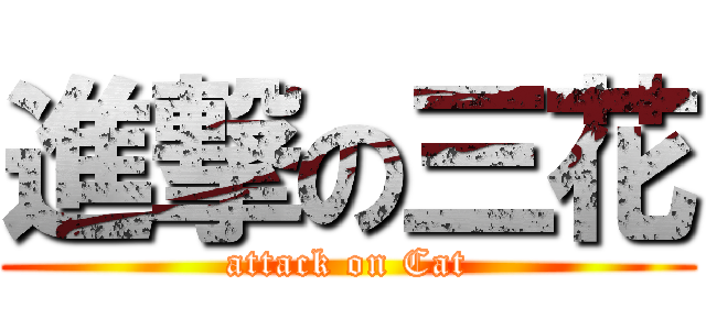 進撃の三花 (attack on Cat)