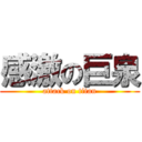 感激の巨泉 (attack on titan)