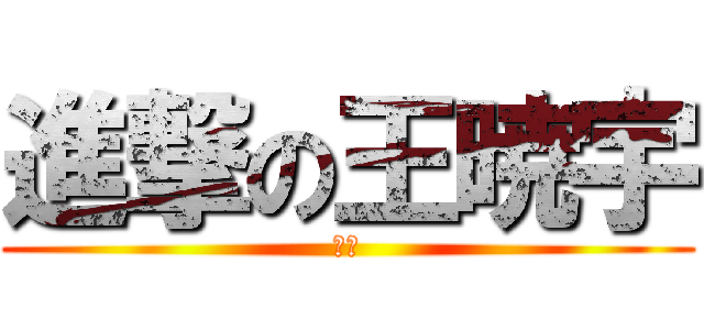 進撃の王暁宇 (宇總)