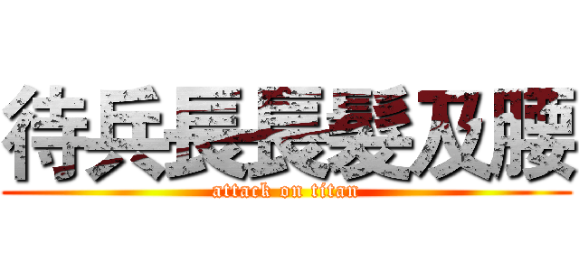 待兵長長髮及腰 (attack on titan)
