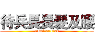 待兵長長髮及腰 (attack on titan)