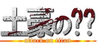 土豪の闪闪 (attack on titan)