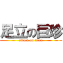 足立の巨珍 (attack on titan)