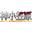 神小笠原 (One Nightlobe)