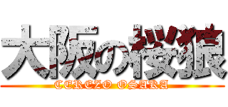 大阪の桜狼 (CEREZO OSAKA)